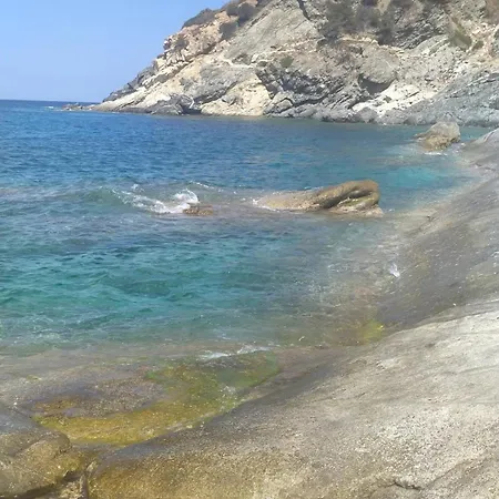 Albaloma *