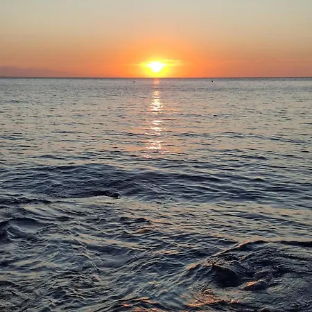 Albaloma Marciana (Isola d'Elba)
